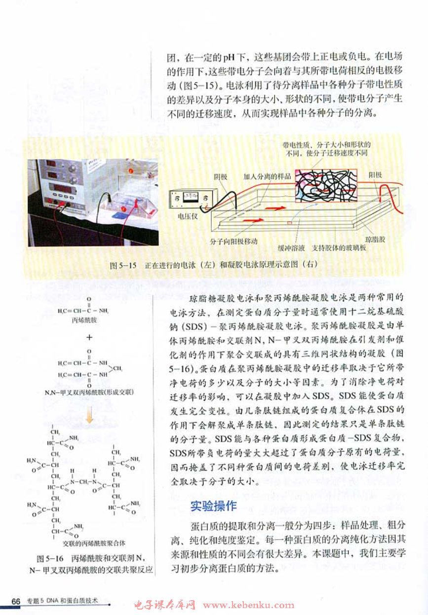 课题3 血红蛋白的提取和分离(3)