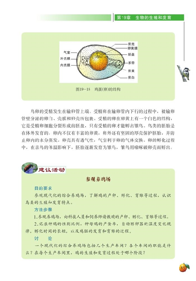 动物的生殖和发育(10)