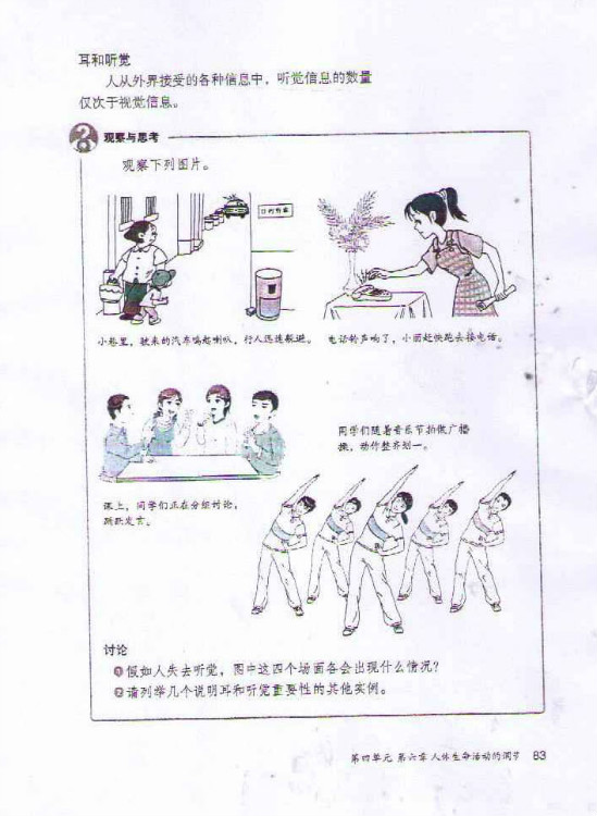 耳和听觉