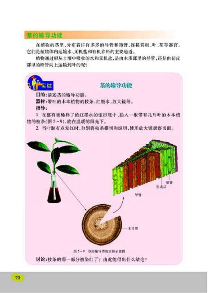 「4」、植物茎的输导功能(3)