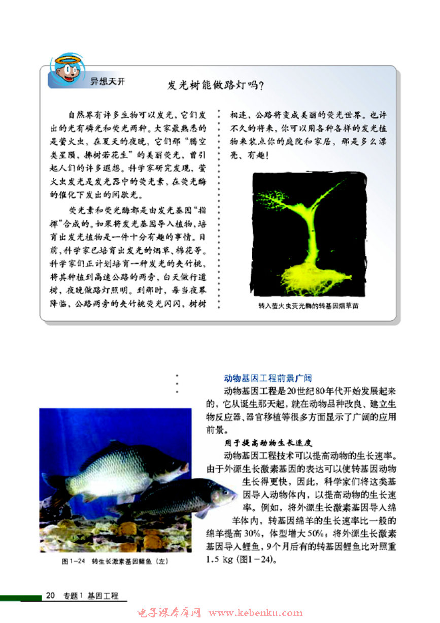 「1」.3 基因工程的应用(4)