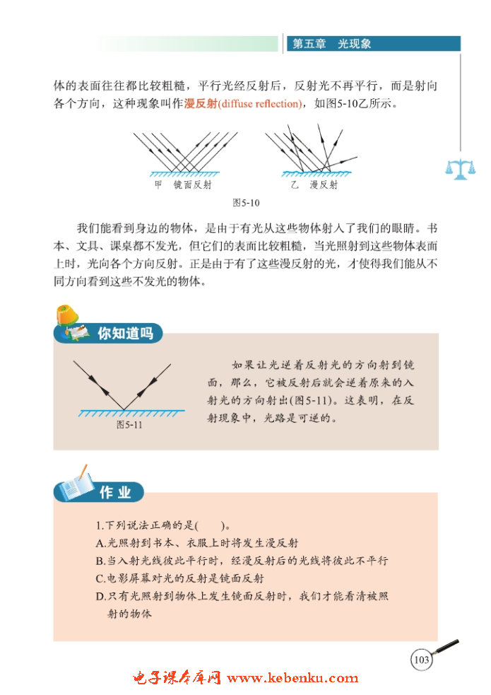 二、光的反射(3)