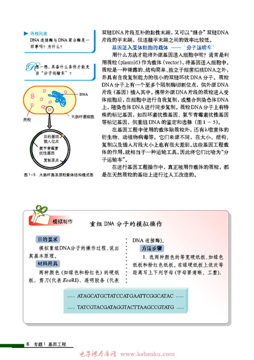 「1」.1 DNA重组技术的基本工具(3)