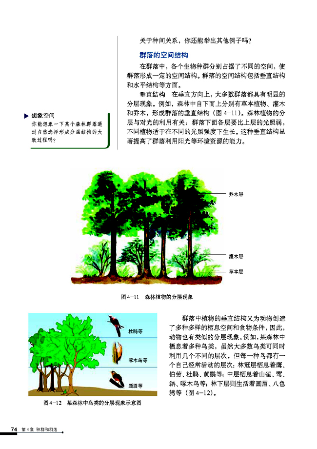 群落的结构(4)