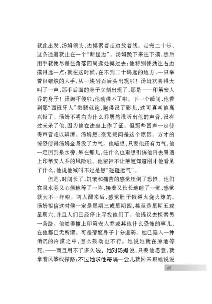 名著推荐与阅读 《汤姆 索亚历险记》(17)