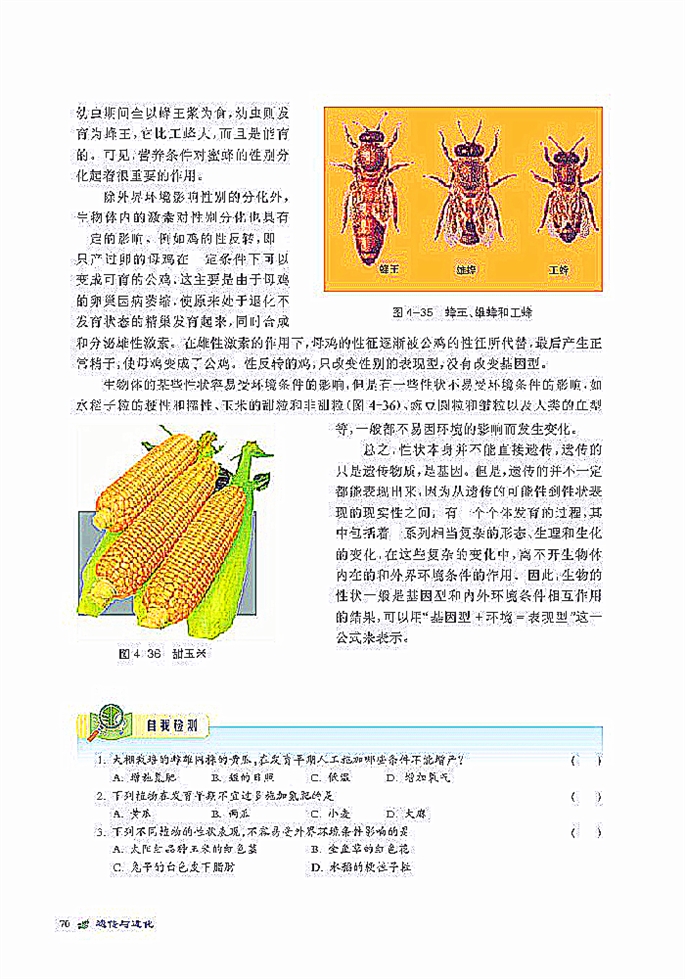 环境对遗传信息表达的影响(4)