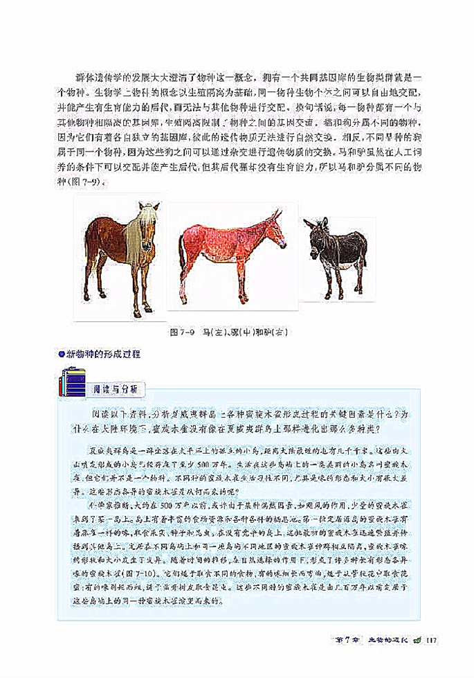 物种进化与生物多样性的形成(2)