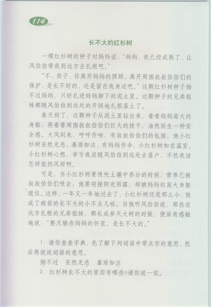 综合练习5(2)