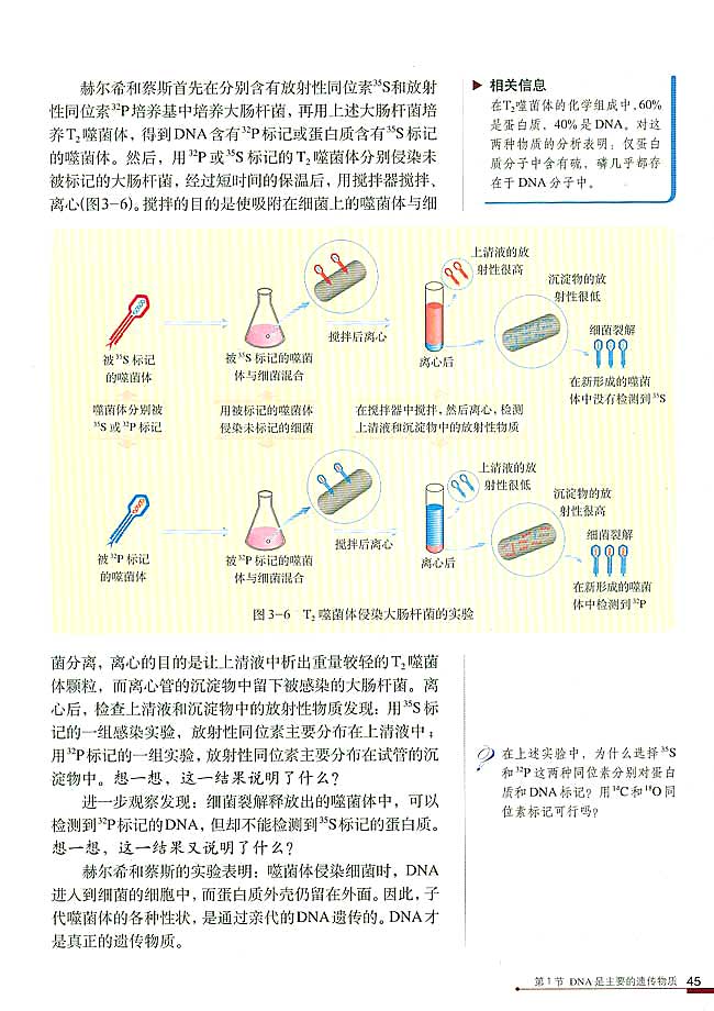 DNA是主要的遗传物质(4)