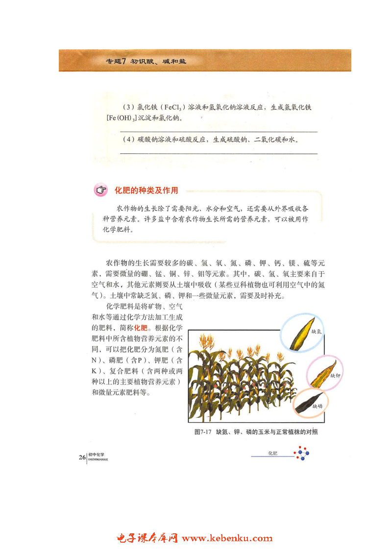 单元3 盐 化学肥料(6)