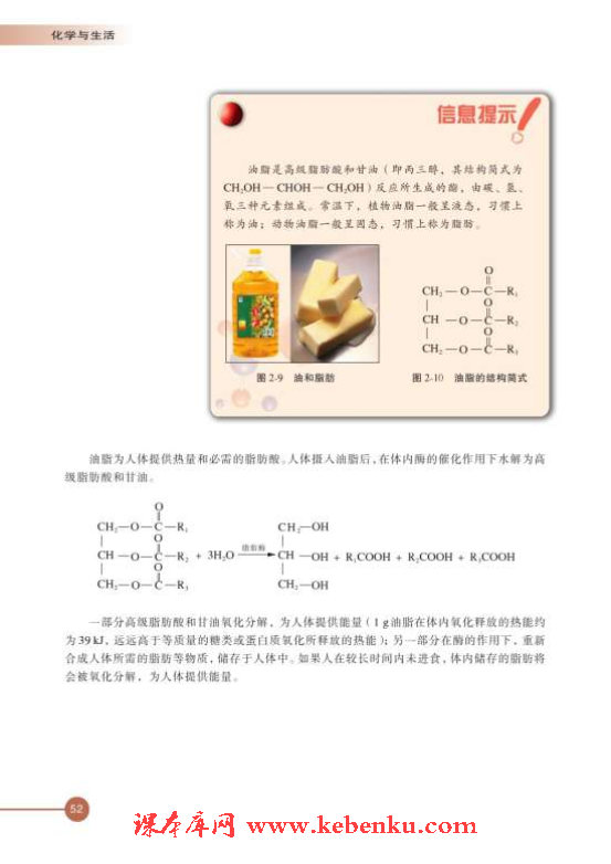 第二单元 提供能量与营养的食物(4)