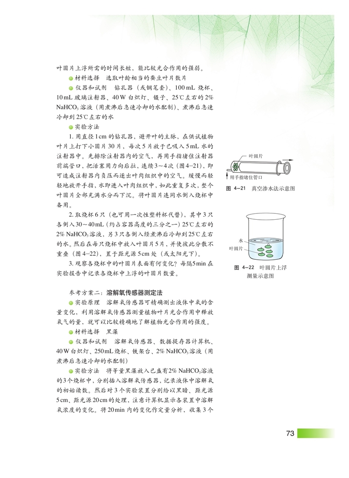 光合作用(11)