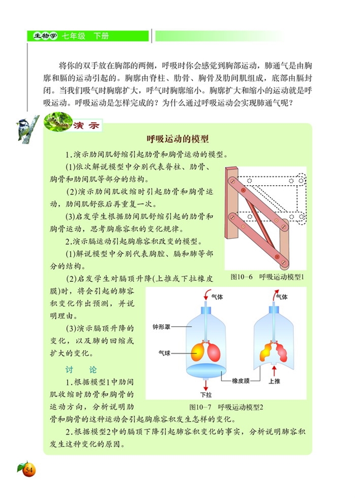 人体细胞获得氧气的过程(3)