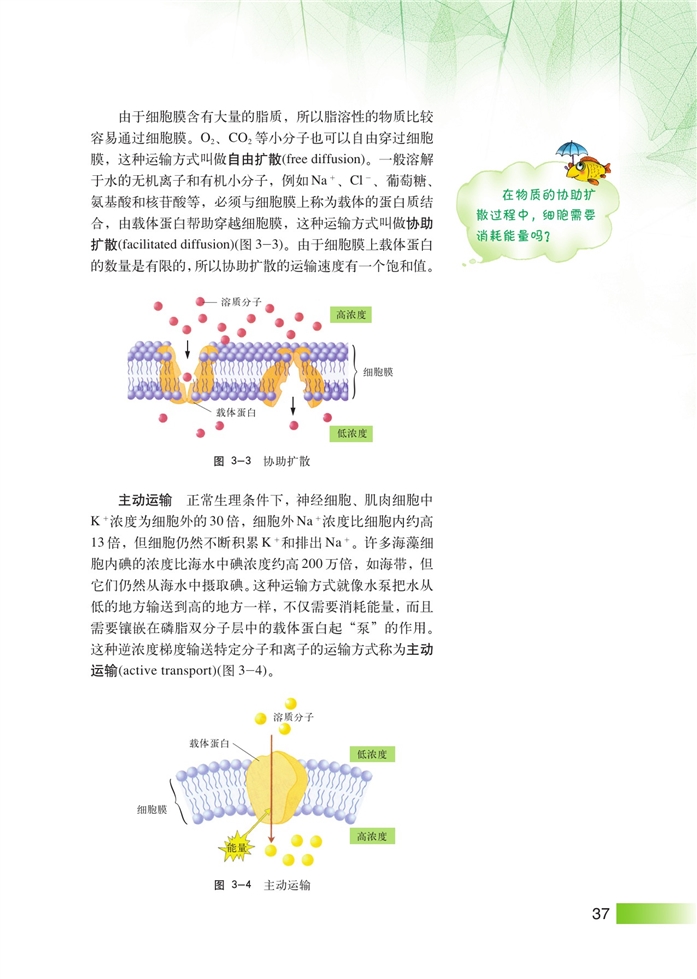 生命结构基础(3)