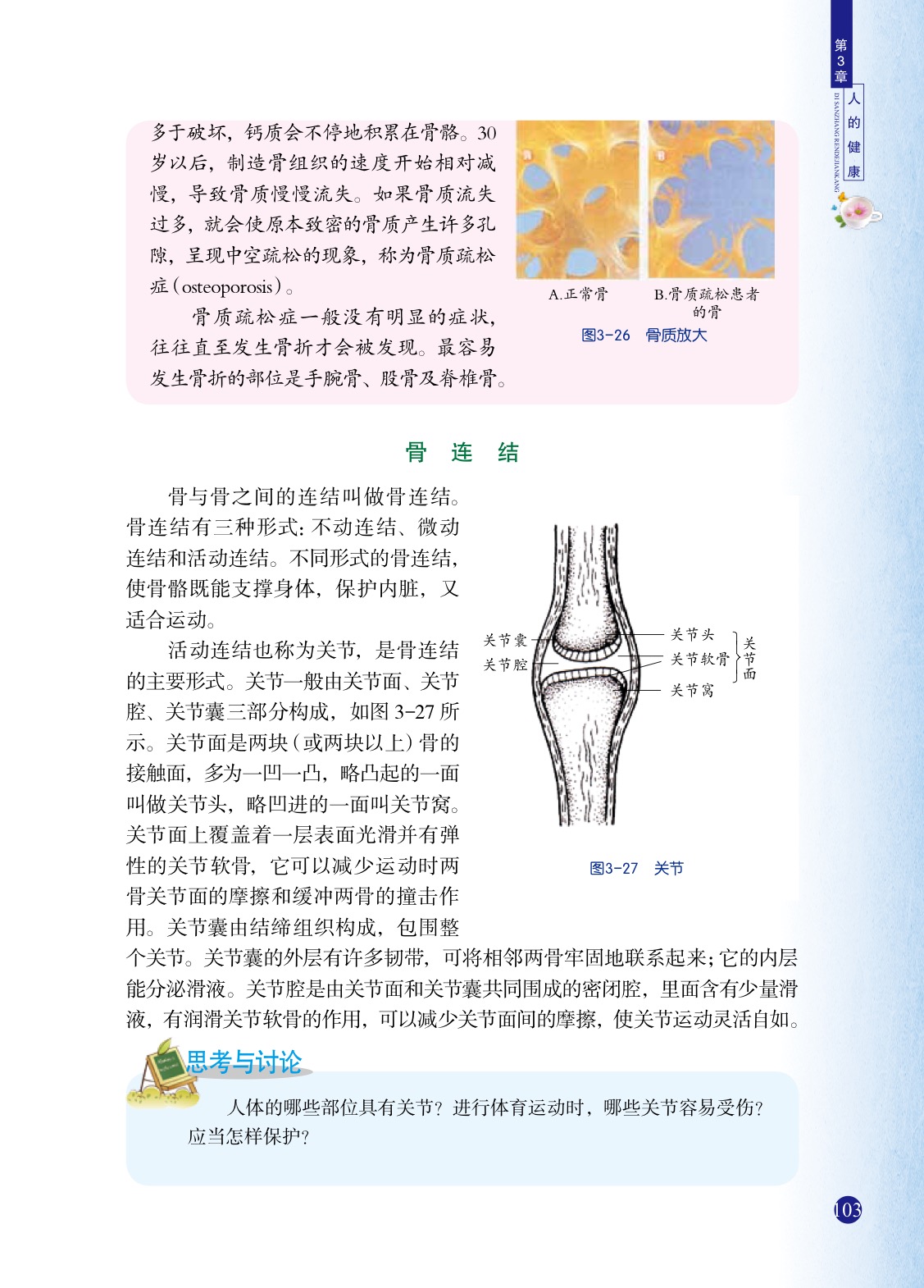 「5」 人的运动系统和保健(4)