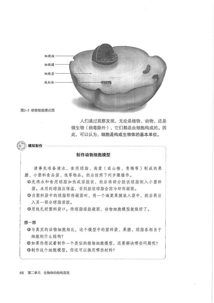 动物细胞(3)