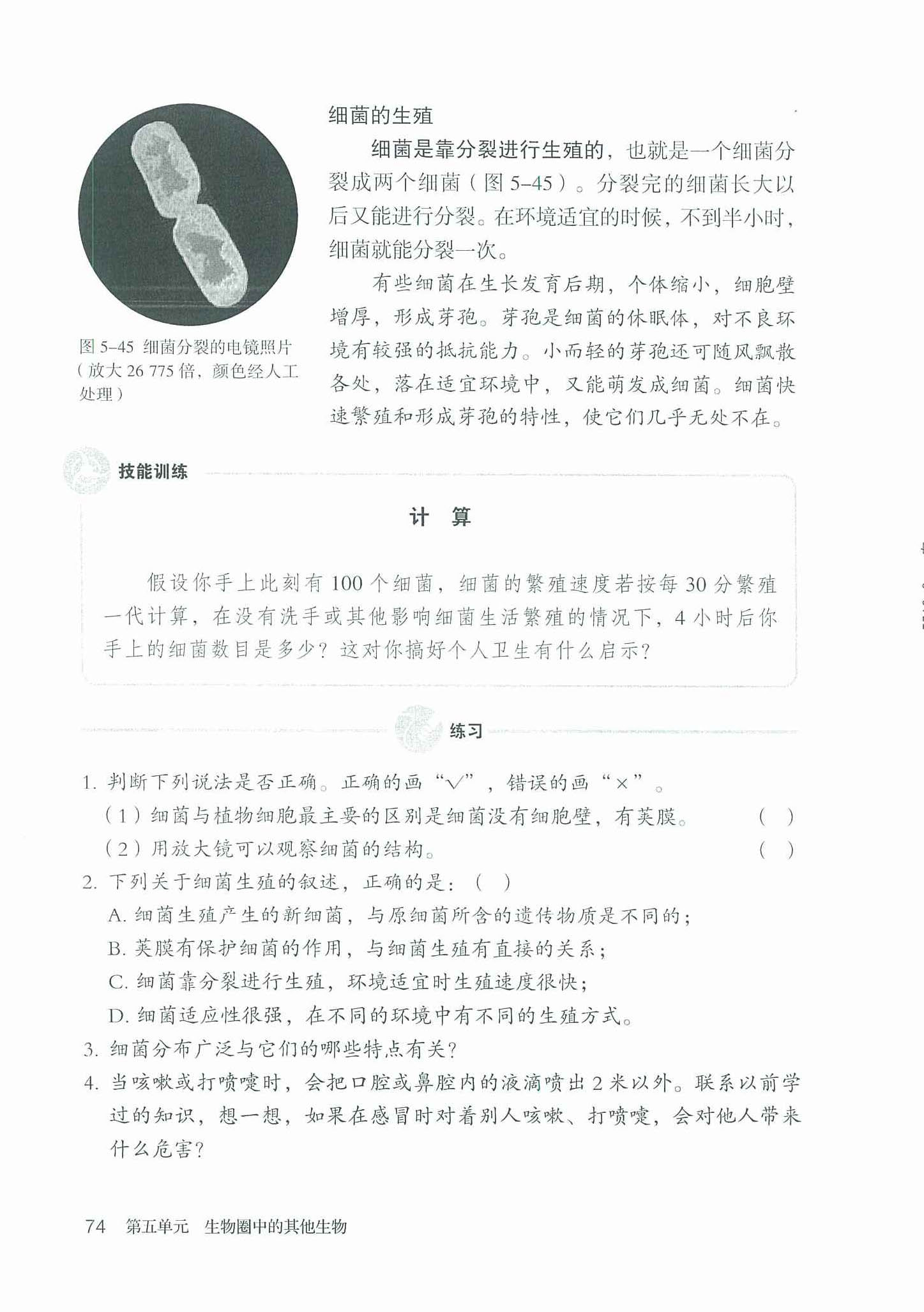 细菌的生殖