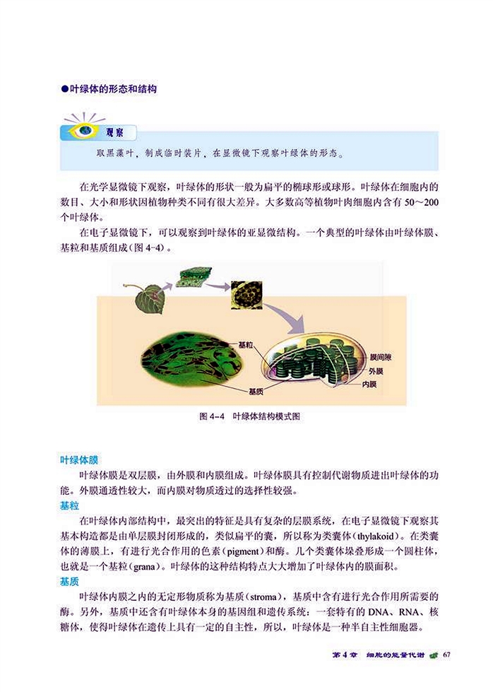 能量的获得(2)