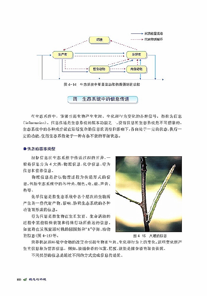 生态系统是一个相对稳定的系统(11)