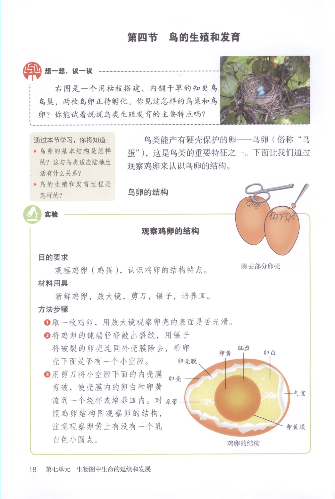 两栖动物的生殖发育与环境条件(3)