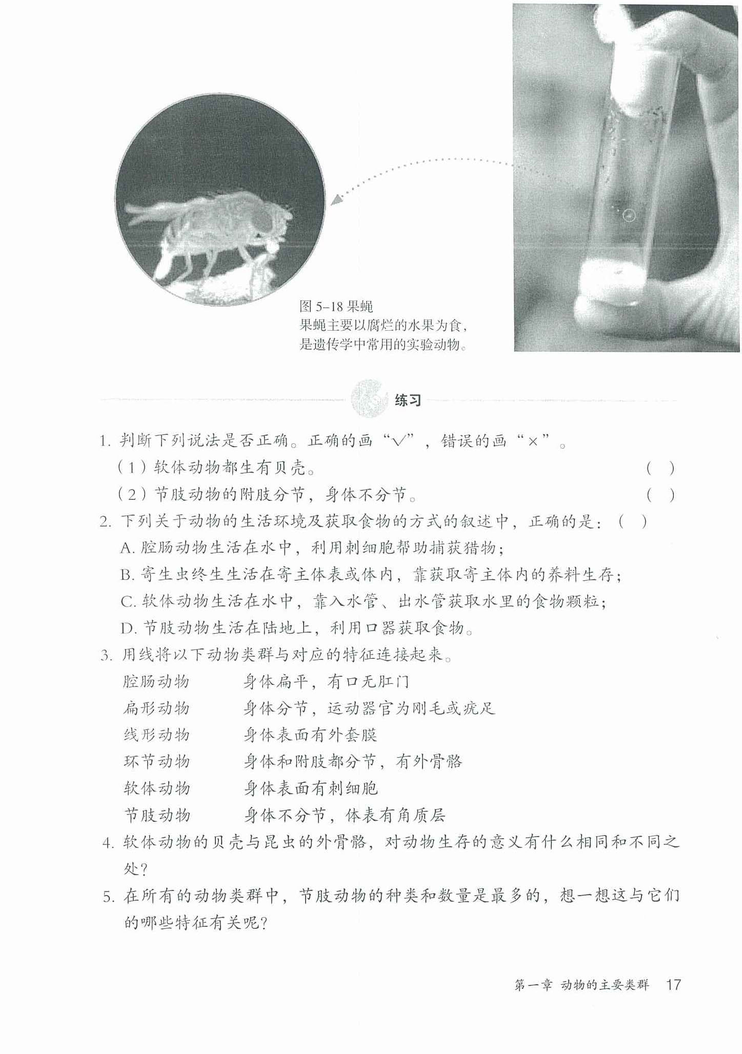 节肢动物(4)