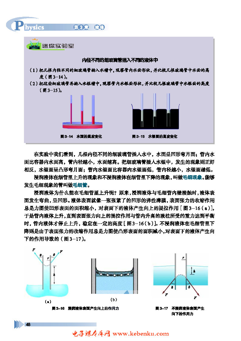 第2节 毛细现象(3)