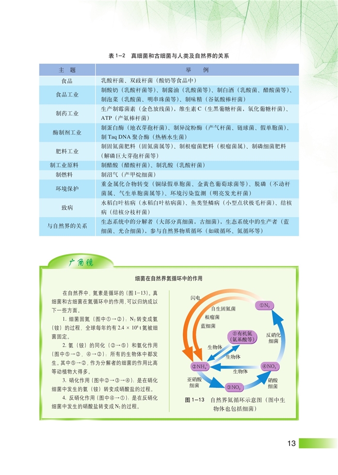 显微镜下的微生物(6)