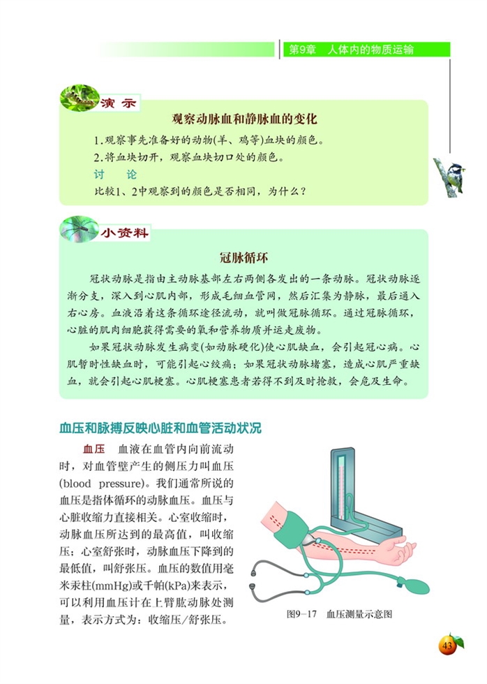 血液循环(11)