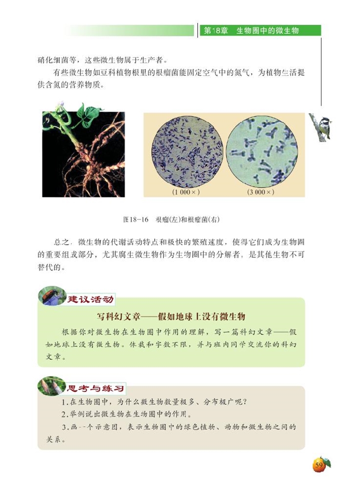 微生物在生物圈中的作用(12)