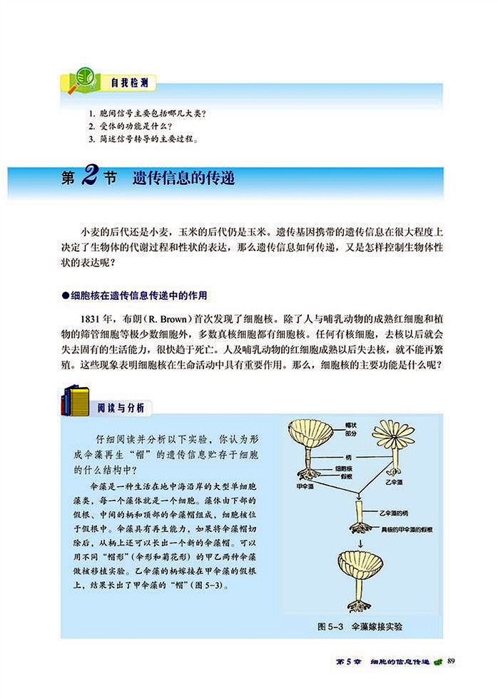 遗传信息的传递