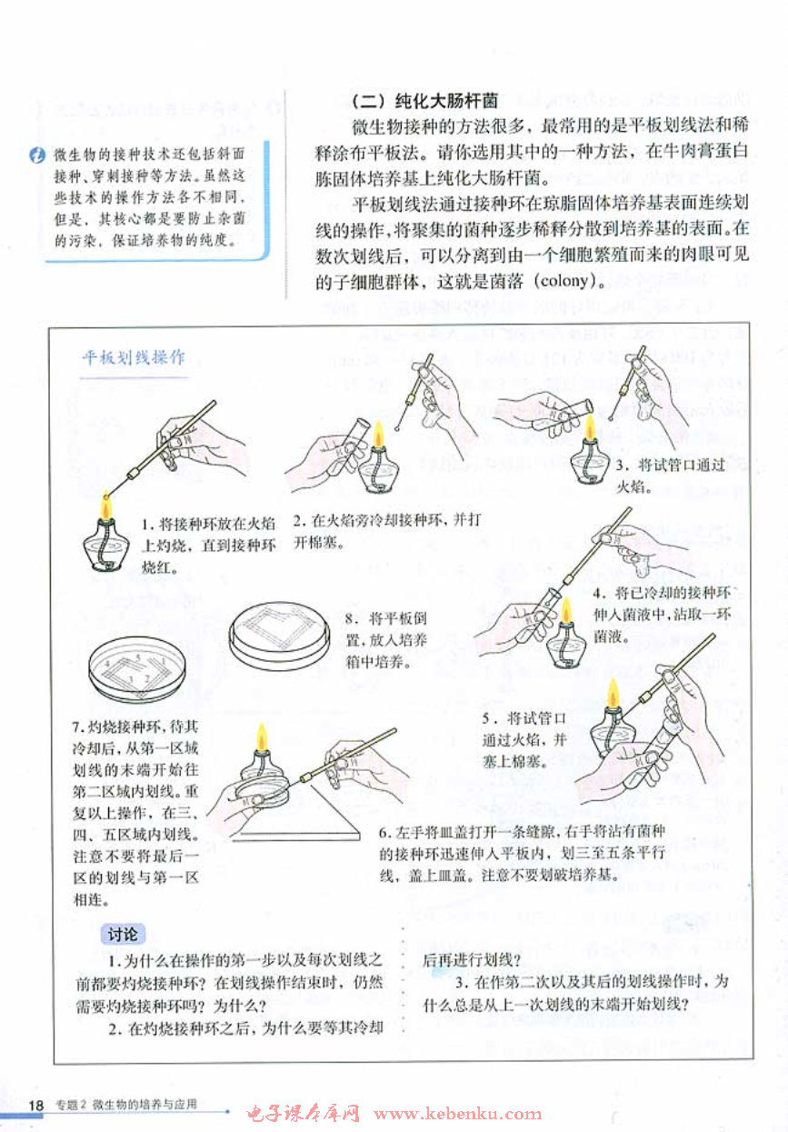 课题1 微生物的实验室培养(5)