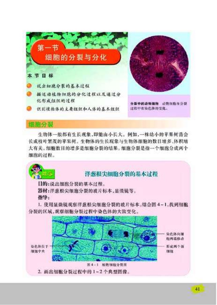 第四章 生物体的组成(2)