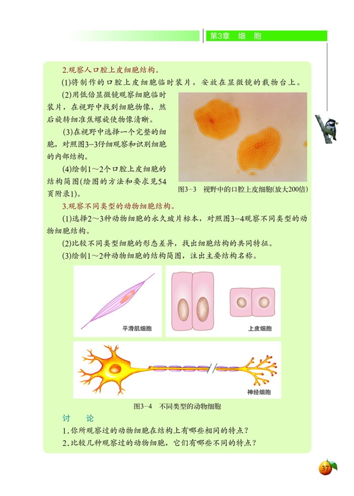 细胞的基本结构和功能(7)