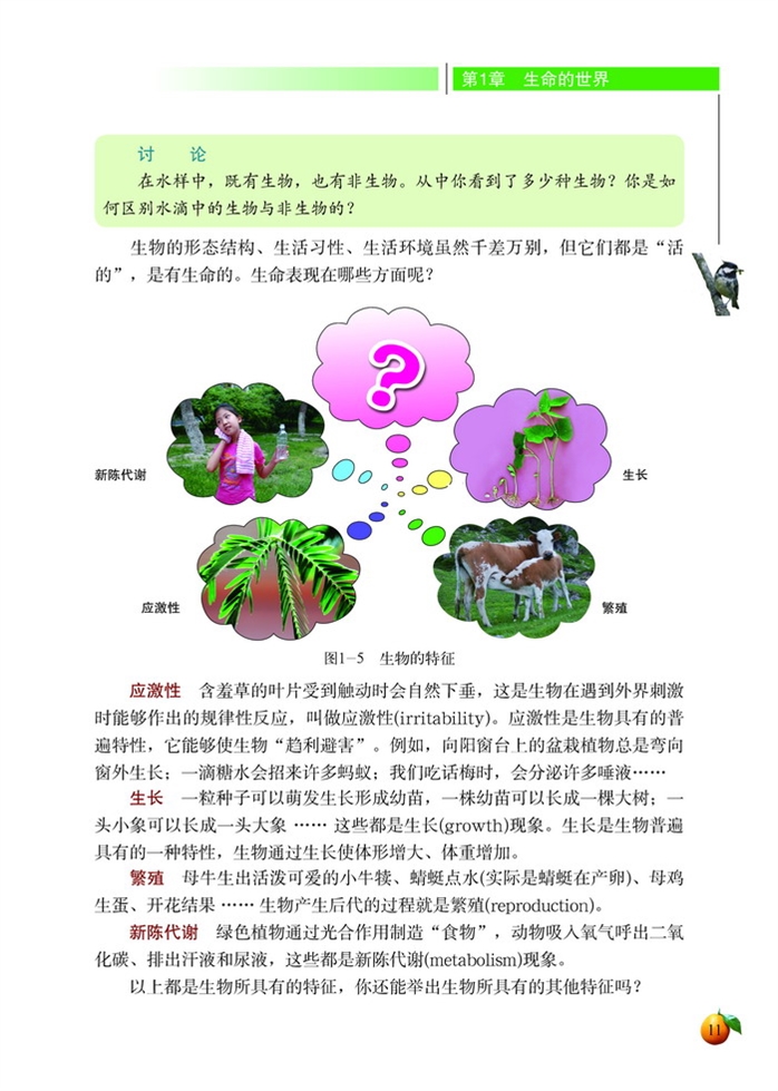 形形色色的生物(5)