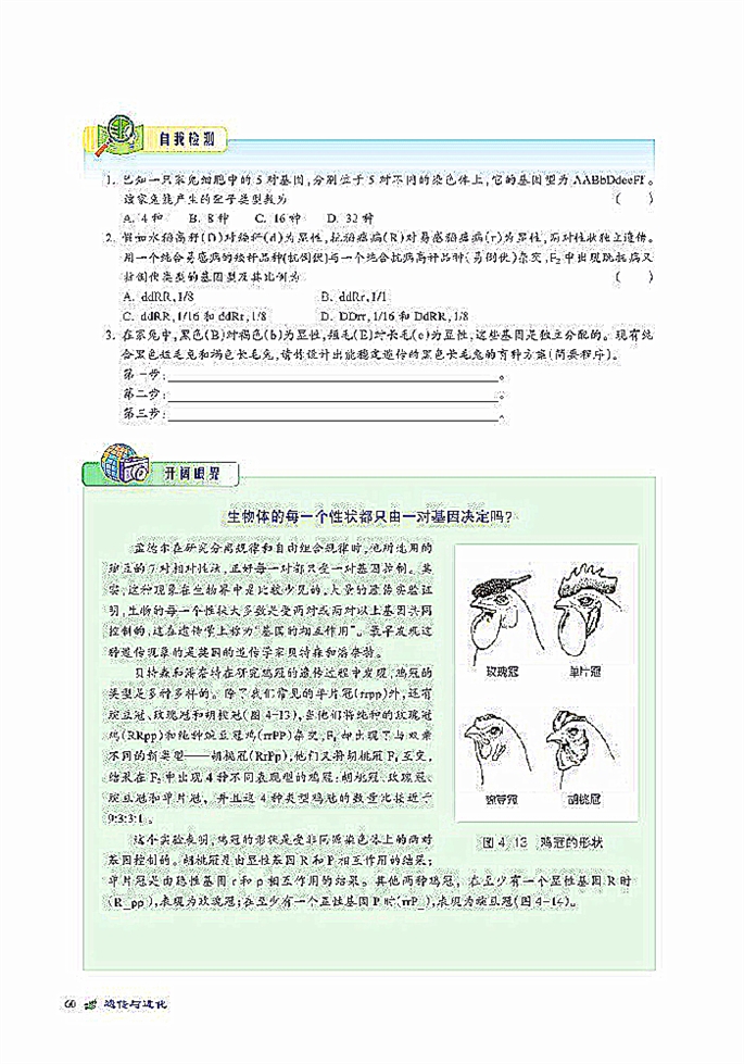 基因自由组合规律(6)