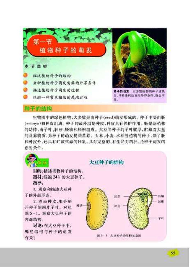 「1」、植物种子的萌发