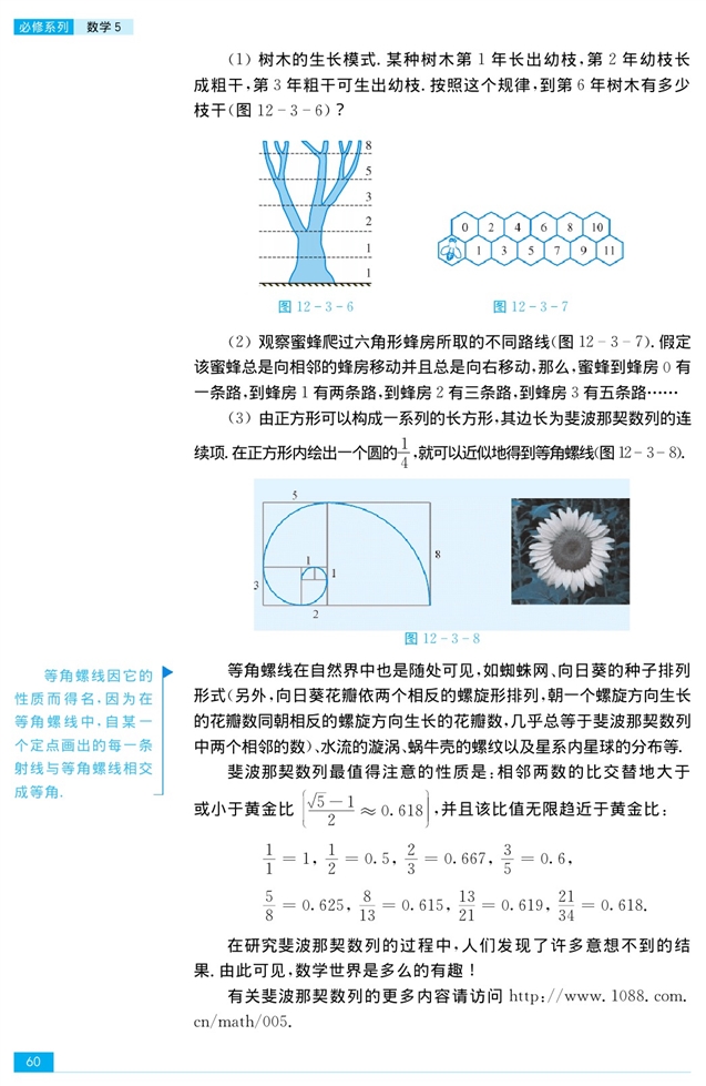 等比数列(14)