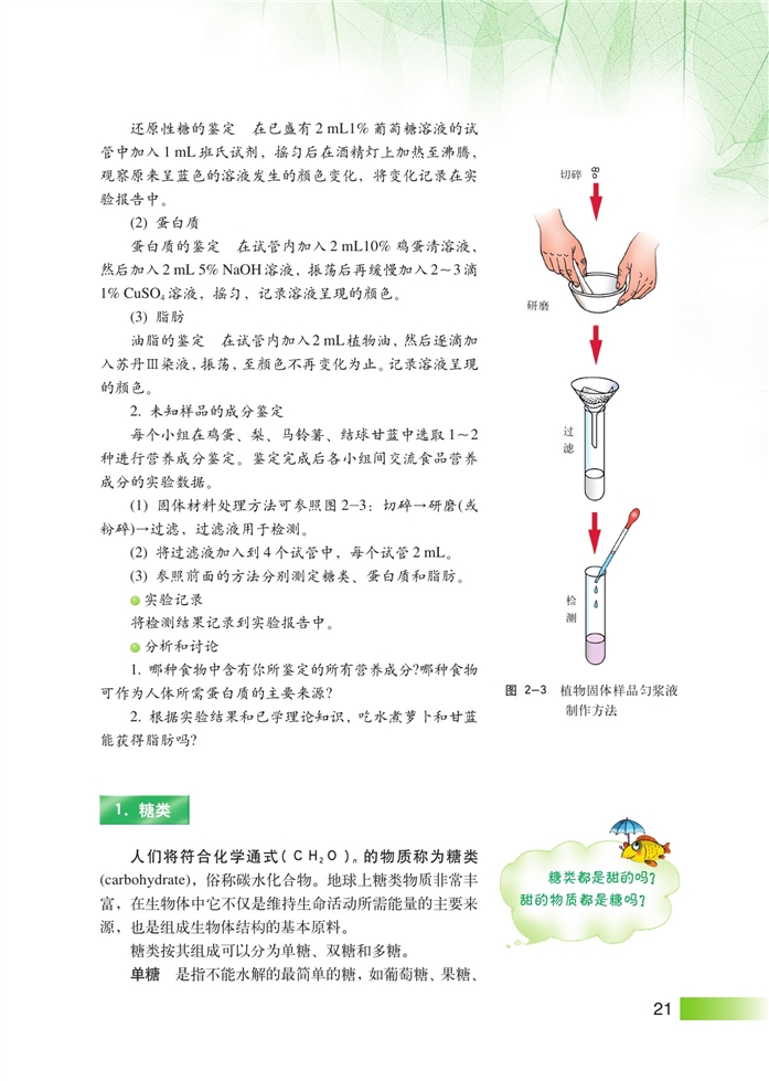 生物体中的有机化合物(2)