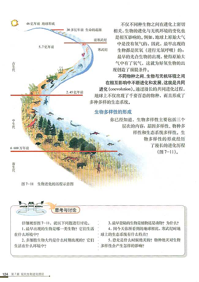 现代生物进化理论的主要内容(11)