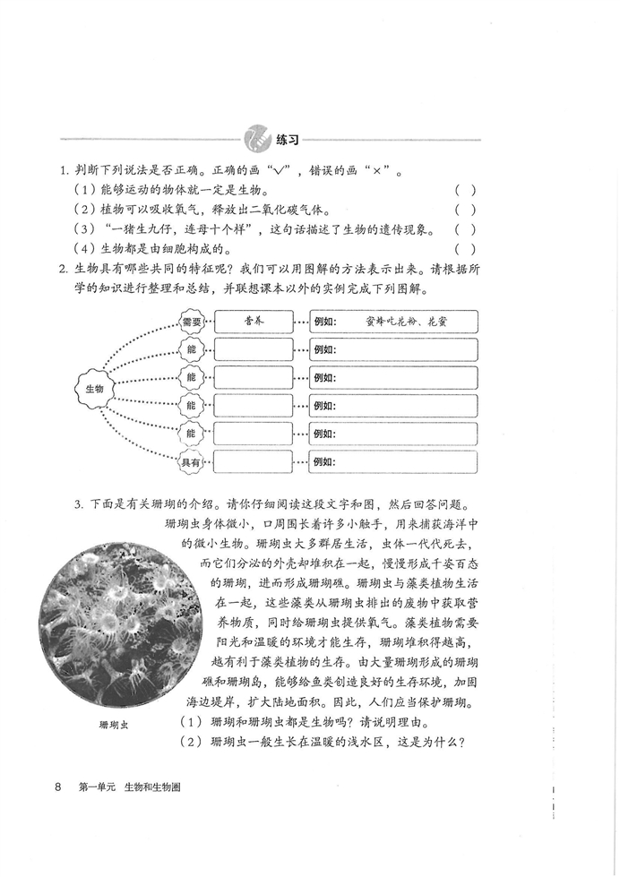 生物的特征(6)