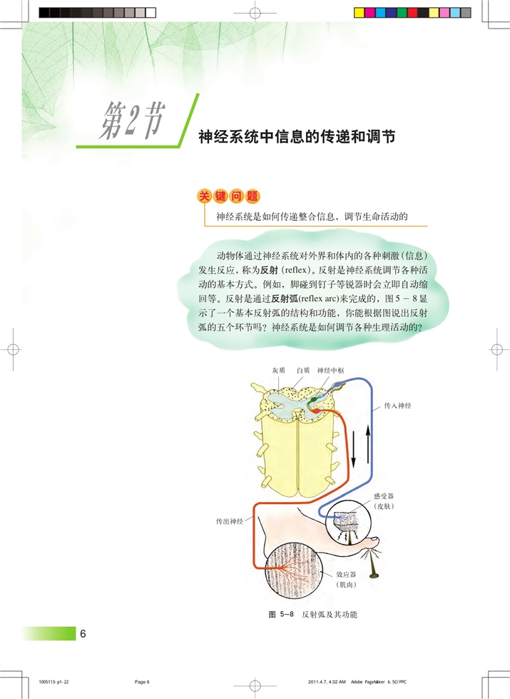 神经系统中信息的传递和调节