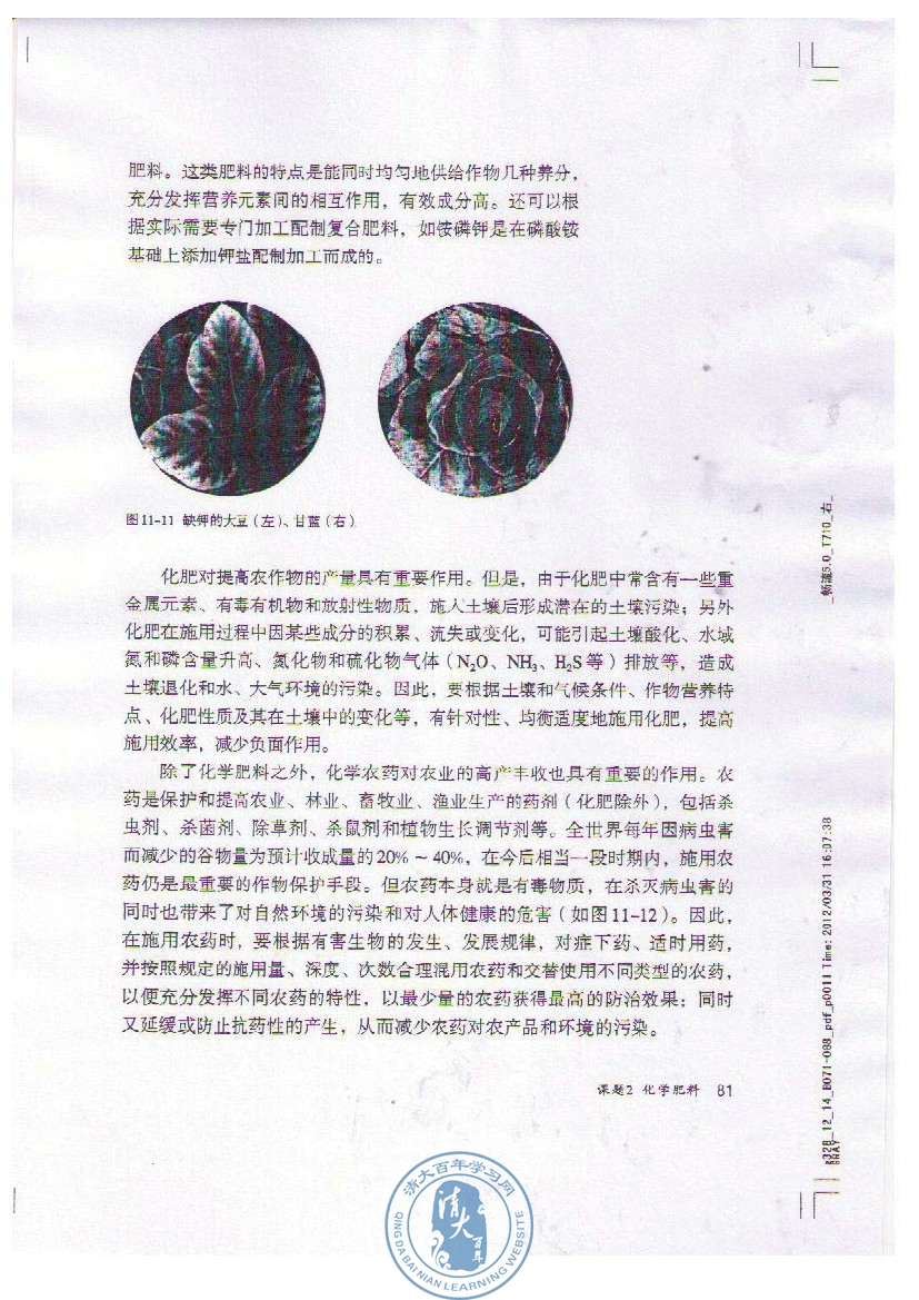 课题2 化学肥料(3)