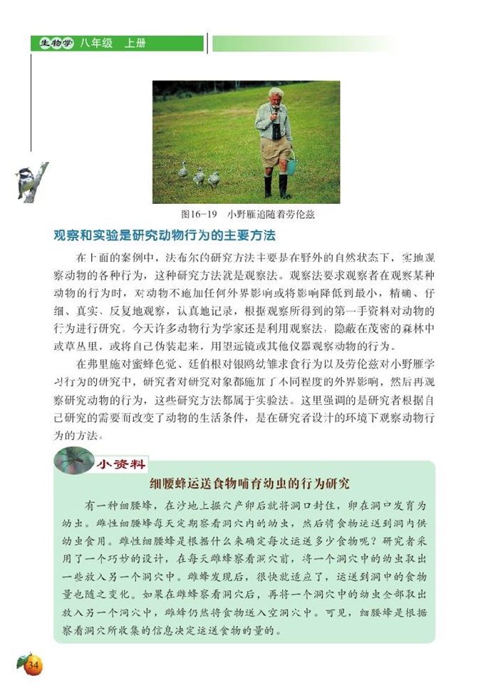 动物行为的研究(2)