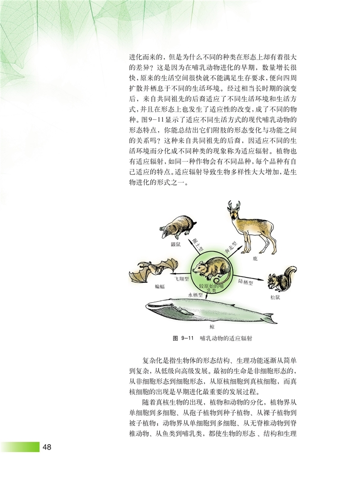 生物进化(7)