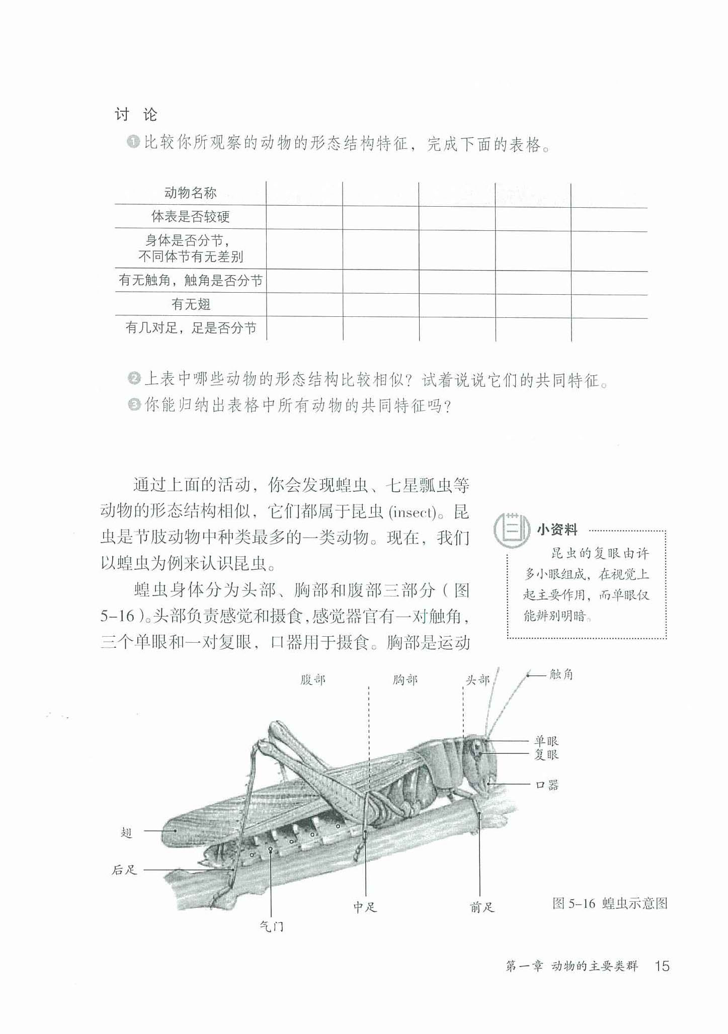 节肢动物(2)