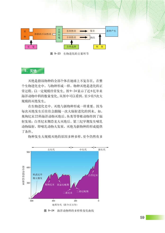 生物进化理论(8)