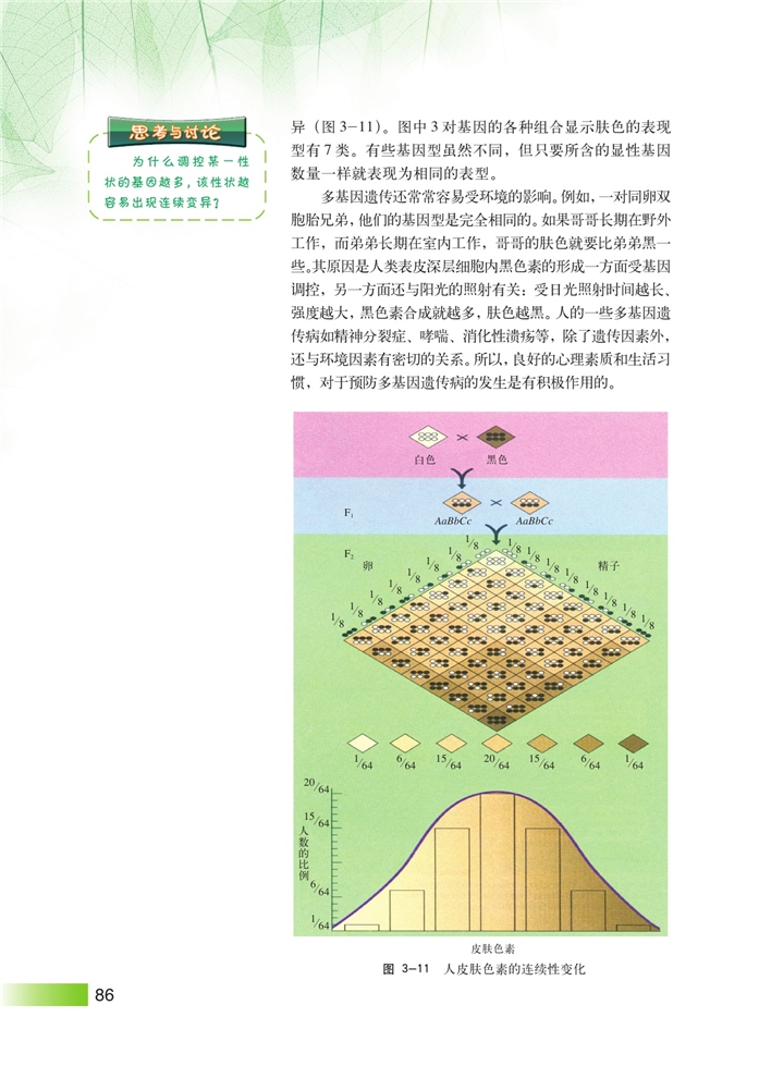 孟德尔遗传定律的扩展(6)