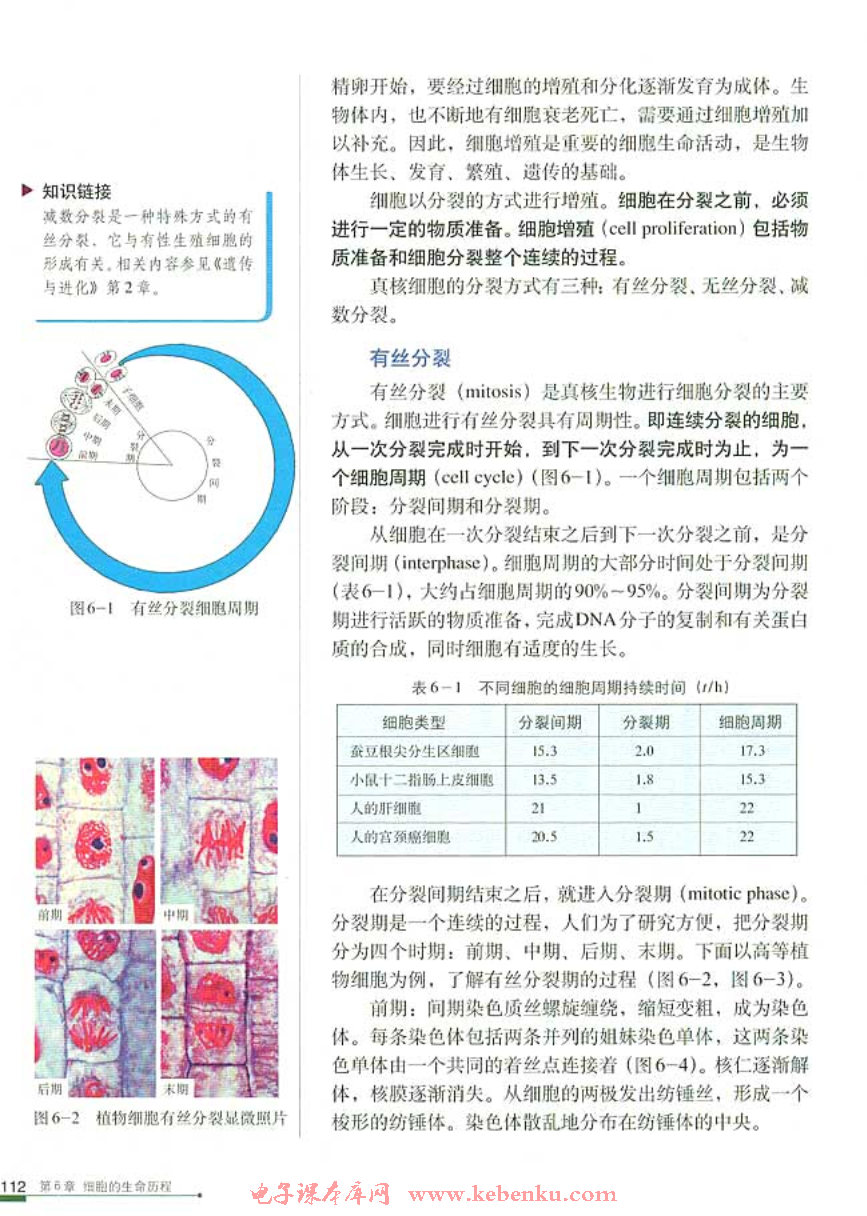 第1节 细胞的增殖(5)