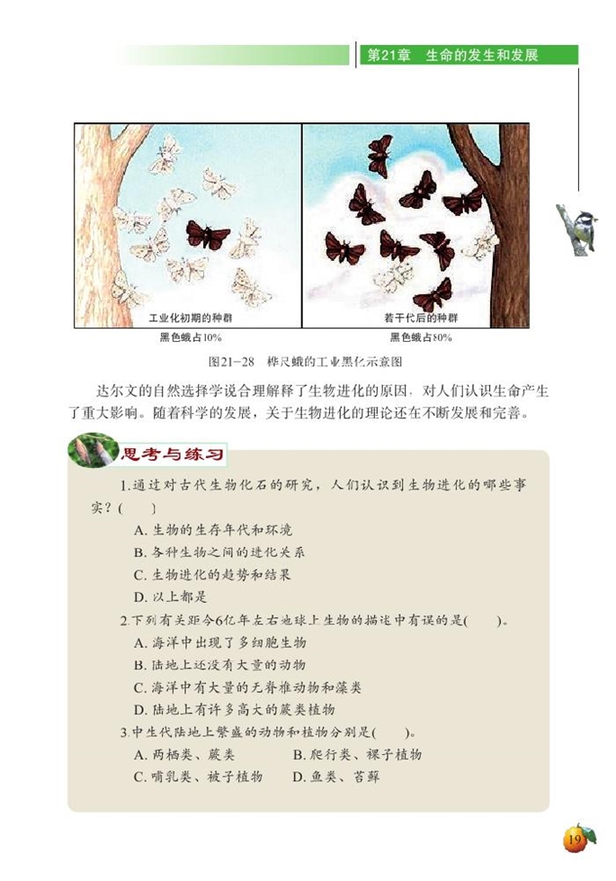 生物的進(jìn)化(15)