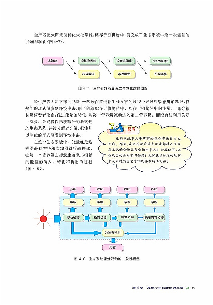 生态系统是一个相对稳定的系统(6)